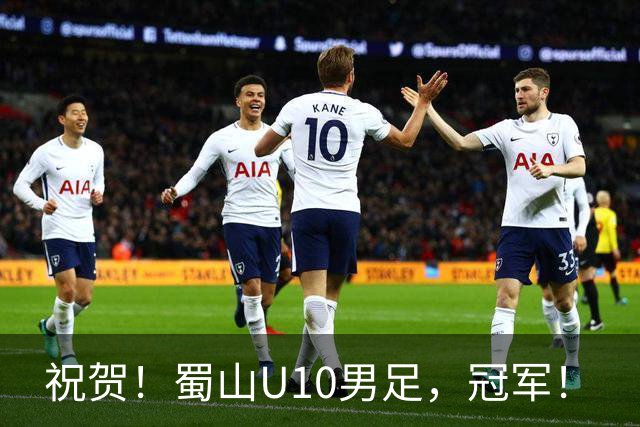 祝贺！蜀山U10男足，冠军！